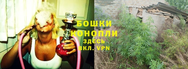 прущие крисы Сосновый Бор