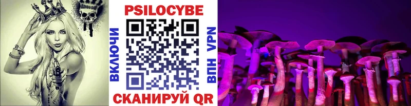 Галлюциногенные грибы прущие грибы  Губаха 